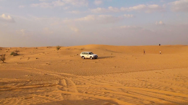 Desert Safari