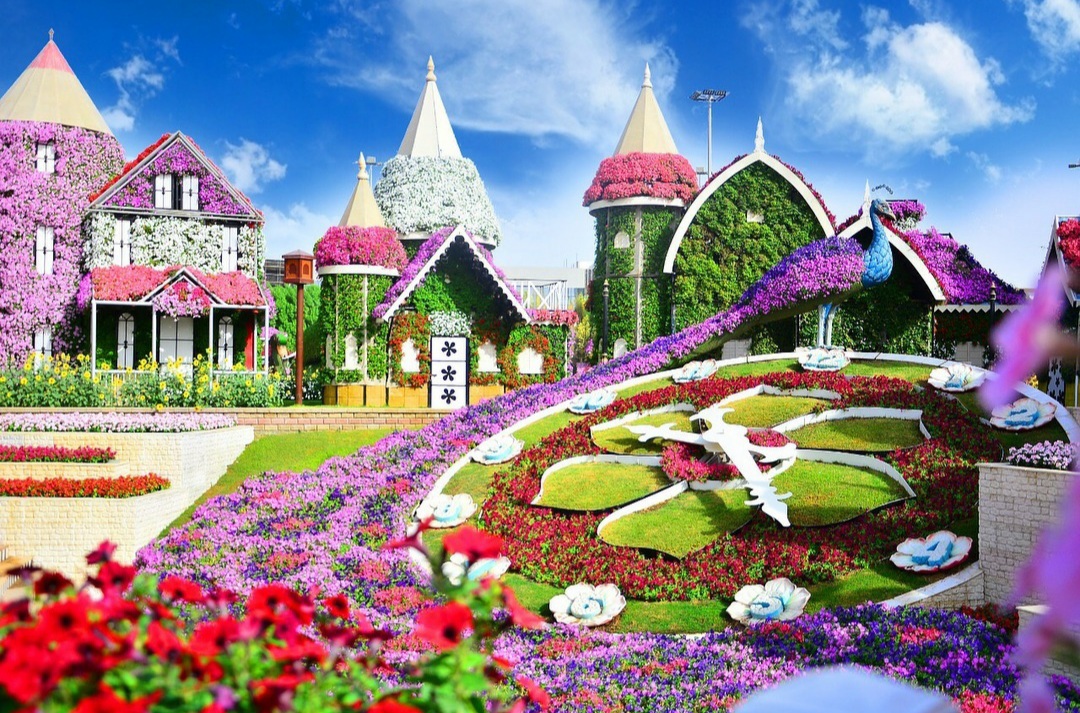 Miracle Garden & Global Village Tour with Return Private Transfer. |  ドバイ旅行観光ツアー予約専門 JWDルナトラベル